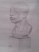 学生作品